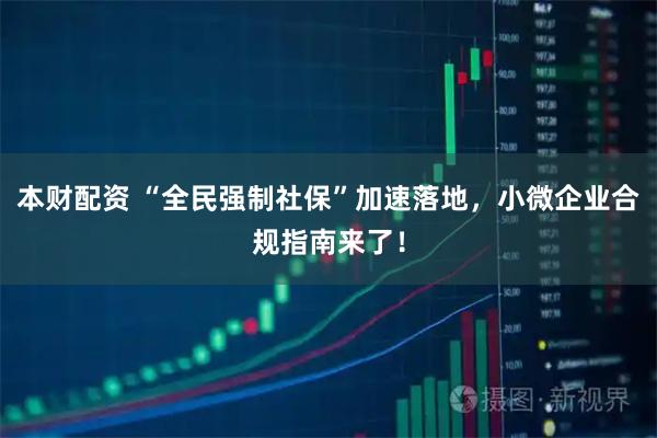 本财配资 “全民强制社保”加速落地，小微企业合规指南来了！
