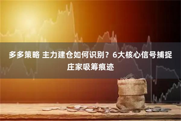 多多策略 主力建仓如何识别？6大核心信号捕捉庄家吸筹痕迹